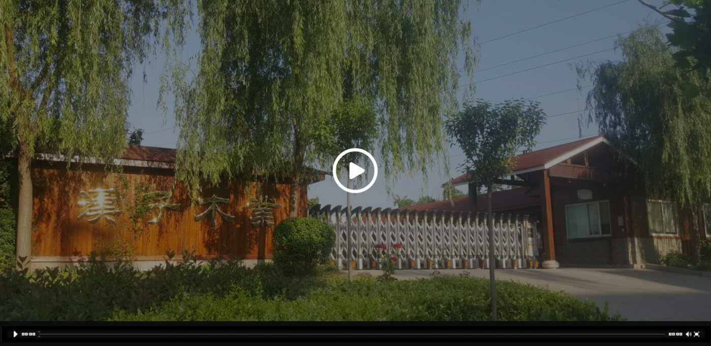 安博在线-安博(中国)